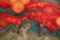 Coral Reef (Detail)